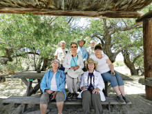 Pete Murphy: Photographers take in some shade.