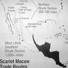 Figure one: Scarlet Macaw trading routes map