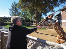 Judy Poffenbarger feeds a carrot to the giraffe