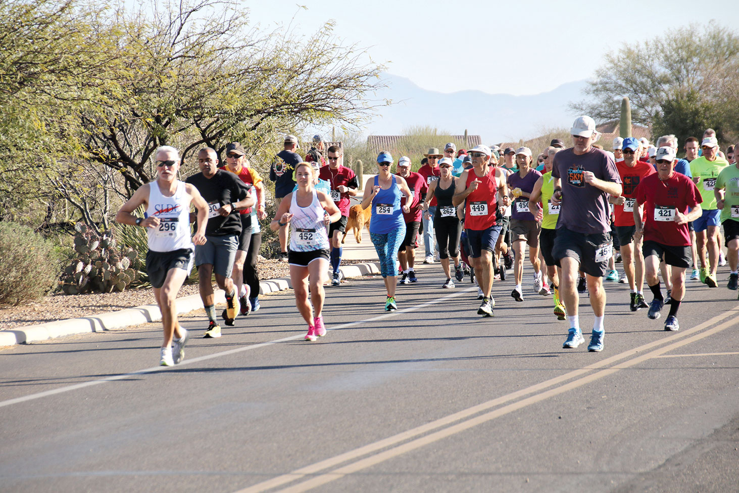 Quail Creek Sports Run participants — and, they’re off!