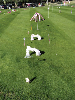 A sampling of some fun holes one will see at the Putters Rally for the Cure; photo by Fred Waggoner.
