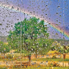 Lauren Hillquist won First Place with his photo Rainbow.