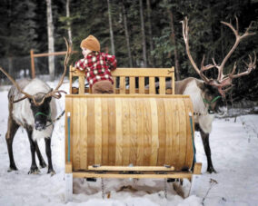 “Reindeer Sleigh”