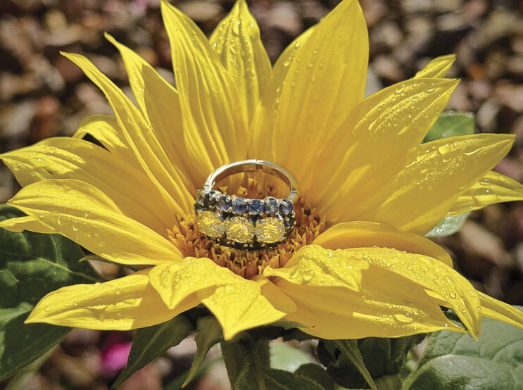 Second place, Steve Piepmeier, Sun Into Yellow.